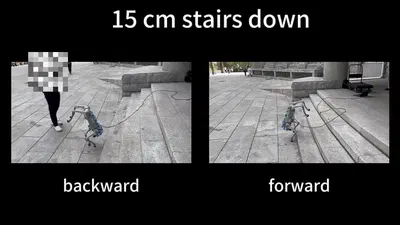 Learning Robust Quadrupedal and Bipedal Locomotion on a Quadruped Robot using One Policy featured image