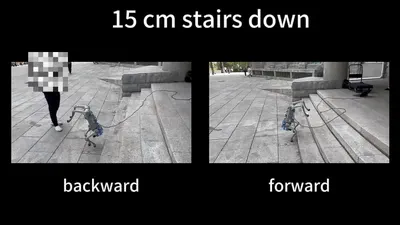 Learning Robust Quadrupedal and Bipedal Locomotion on a Quadruped Robot using One Policy featured image