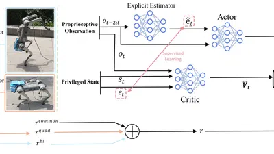 Learning Robust Quadrupedal and Bipedal Locomotion on a Quadruped Robot using One Policy featured image